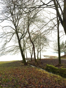 Sjøstrand. Ett liv i bevegelse